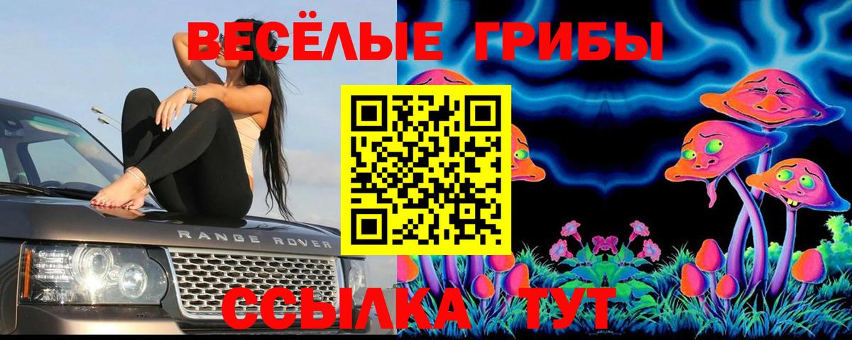 Галлюциногенные грибы Cubensis  Галлюциногенные грибы GOLDEN TEACHER  Сибай  Вход с VPN 